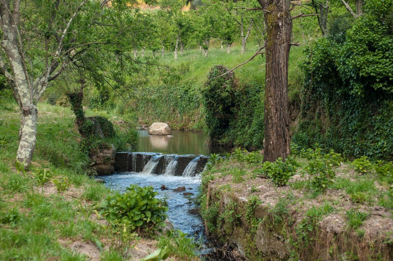 Villa Covela Baião Exteriér fotografie